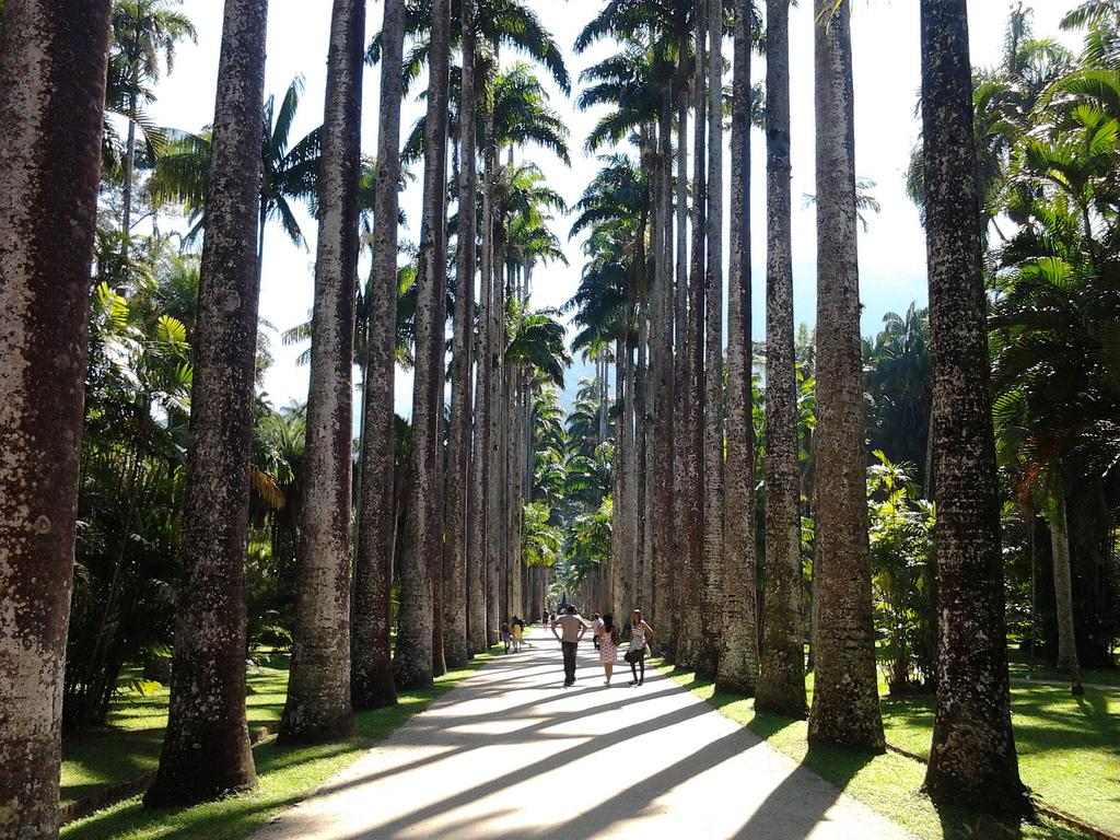 </p>
<td>Jardim Botânico</td>
<p>